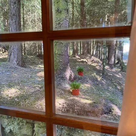 Skogshytte Holiday home