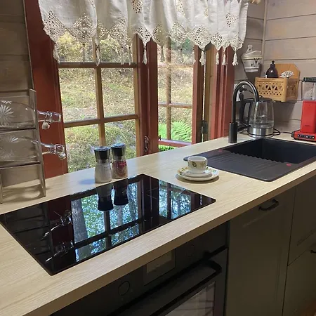 Skogshytte Holiday home Holmoyane