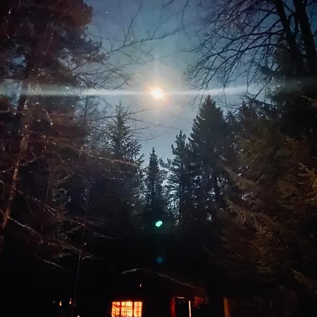 Skogshytte Holiday home