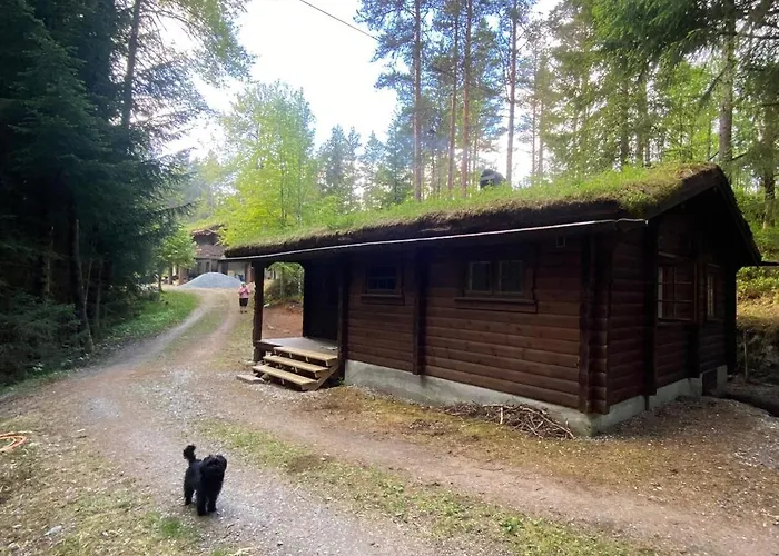 Skogshytte *